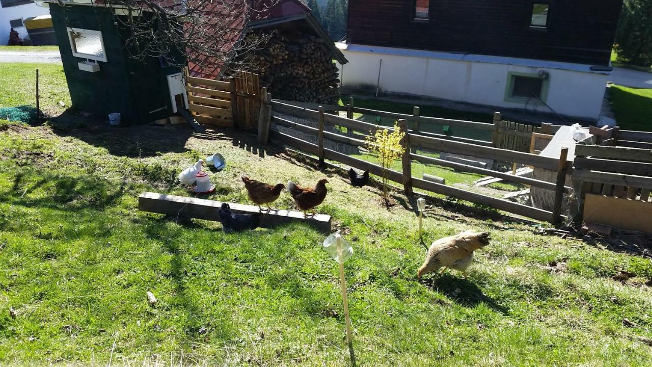 Biohof Stockreiter Vulgo Grillschmied Farm stay *